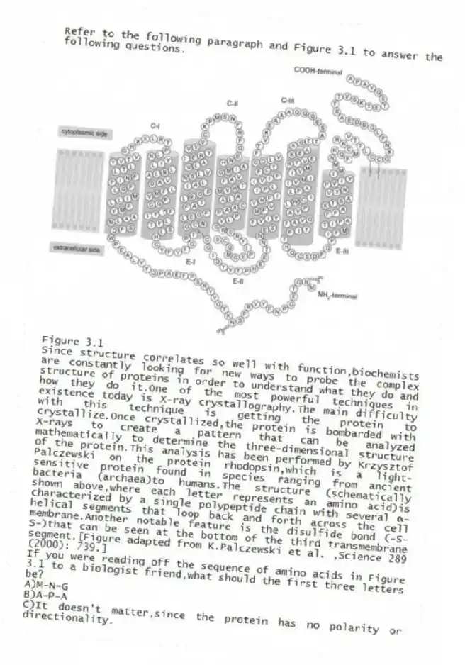 Refer to the following paragraph and Figure 3.1 to answer the following questions.
  
Figure 3.1
Since structure correlates so well with function,biochemists are constantly looking for new ways to probe the complex structure of proteins in order to understand what they do and how they do it.One of the most powerful techniques in existence today is X-ray crystallography.The main difficulty with this technique is getting the protein to crystallize.Once crystallized,the protein is bombarded with X-rays to create a pattern that can be analyzed mathematically to determine the three-dimensional structure of the protein.This analysis has been performed by Krzysztof Palczewski on the protein rhodopsin,which is a light-sensitive protein found in species ranging from ancient bacteria (archaea)to humans.The structure (schematically shown above,where each letter represents an amino acid)is characterized by a single polypeptide chain with several α-helical segments that loop back and forth across the cell membrane.Another notable feature is the disulfide bond (-S-S-)that can be seen at the bottom of the third transmembrane segment.[Figure adapted from K.Palczewski et al. ,Science 289 (2000): 739.]
-If you were reading off the sequence of amino acids in Figure 3.1 to a biologist friend,what should the first three letters be?
A)M-N-G 
B)A-P-A 
C)It doesn't matter,since the protein has no polarity or directionality.
