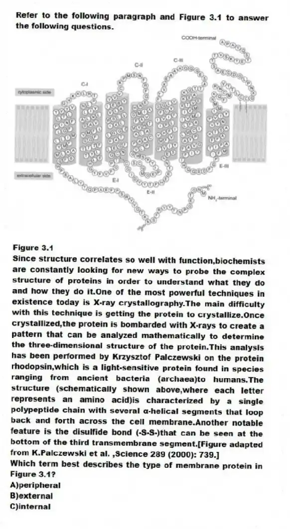 Refer to the following paragraph and Figure 3.1 to answer the following questions.
  
Figure 3.1
Since structure correlates so well with function,biochemists are constantly looking for new ways to probe the complex structure of proteins in order to understand what they do and how they do it.One of the most powerful techniques in existence today is X-ray crystallography.The main difficulty with this technique is getting the protein to crystallize.Once crystallized,the protein is bombarded with X-rays to create a pattern that can be analyzed mathematically to determine the three-dimensional structure of the protein.This analysis has been performed by Krzysztof Palczewski on the protein rhodopsin,which is a light-sensitive protein found in species ranging from ancient bacteria (archaea)to humans.The structure (schematically shown above,where each letter represents an amino acid)is characterized by a single polypeptide chain with several α-helical segments that loop back and forth across the cell membrane.Another notable feature is the disulfide bond (-S-S-)that can be seen at the bottom of the third transmembrane segment.[Figure adapted from K.Palczewski et al. ,Science 289 (2000): 739.]
-Which term best describes the type of membrane protein in Figure 3.1?
A)peripheral 
B)external 
C)internal 
D)integral
