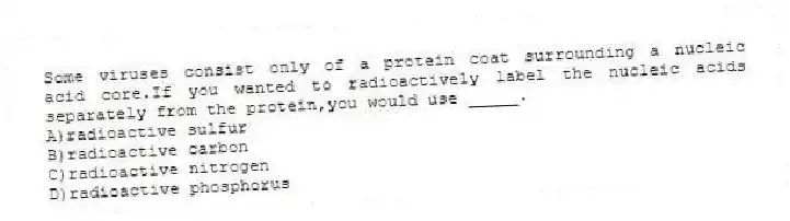 Some viruses consist only of a protein coat surrounding a nucleic acid core.If you wanted to radioactively label the nucleic acids separately from the protein,you would use _____.
A)radioactive sulfur
B)radioactive carbon
C)radioactive nitrogen
D)radioactive phosphorus