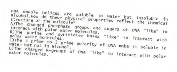 DNA double helices are soluble in water but insoluble in alcohol.How do these physical properties reflect the chemical structure of the molecule?
A)The charged phosphate groups and sugars of DNA "like" to interact with polar water molecules.
B)The purine and pyrimidine bases "like" to interact with polar water molecules.
C)The 5 prime to 3 prime polarity of DNA make it soluble in water but not in alcohol.
D)The charged R-groups of DNA "like" to interact with polar water molecules.