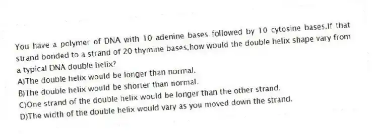 You have a polymer of DNA with 10 adenine bases followed by 10 cytosine bases.If that strand bonded to a strand of 20 thymine bases,how would the double helix shape vary from a typical DNA double helix?
A)The double helix would be longer than normal.
B)The double helix would be shorter than normal.
C)One strand of the double helix would be longer than the other strand.
D)The width of the double helix would vary as you moved down the strand.