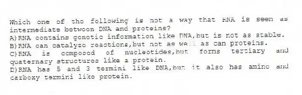 Which one of the following is not a way that RNA is seen as intermediate between DNA and proteins?
A)RNA contains genetic information like DNA,but is not as stable.
B)RNA can catalyze reactions,but not as well as can proteins.
C)RNA is composed of nucleotides,but forms tertiary and quaternary structures like a protein.
D)RNA has 5 and 3 termini like DNA,but it also has amino and carboxy termini like protein.
