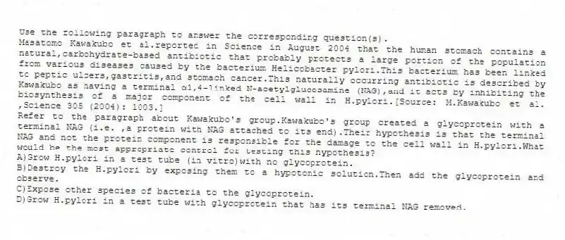 Use the following paragraph to answer the corresponding question(s).
Masatomo Kawakubo et al.reported in Science in August 2004 that the human stomach contains a natural,carbohydrate-based antibiotic that probably protects a large portion of the population from various diseases caused by the bacterium Helicobacter pylori.This bacterium has been linked to peptic ulcers,gastritis,and stomach cancer.This naturally occurring antibiotic is described by Kawakubo as having a terminal α1,4-linked N-acetylglucosamine (NAG),and it acts by inhibiting the biosynthesis of a major component of the cell wall in H.pylori.[Source: M.Kawakubo et al. ,Science 305 (2004): 1003.]
-Refer to the paragraph about Kawakubo's group.Kawakubo's group created a glycoprotein with a terminal NAG (i.e. ,a protein with NAG attached to its end).Their hypothesis is that the terminal NAG and not the protein component is responsible for the damage to the cell wall in H.pylori.What would be the most appropriate control for testing this hypothesis?
A)Grow H.pylori in a test tube (in vitro)with no glycoprotein.
B)Destroy the H.pylori by exposing them to a hypotonic solution.Then add the glycoprotein and observe.
C)Expose other species of bacteria to the glycoprotein.
D)Grow H.pylori in a test tube with glycoprotein that has its terminal NAG removed.