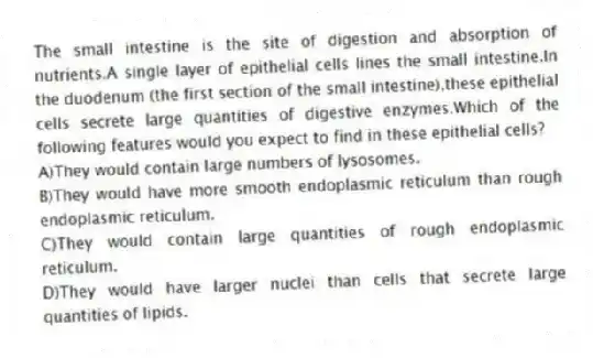 The small intestine is the site of digestion and absorption of nutrients.A single layer of epithelial cells lines the small intestine.In the duodenum (the first section of the small intestine),these epithelial cells secrete large quantities of digestive enzymes.Which of the following features would you expect to find in these epithelial cells?
A)They would contain large numbers of lysosomes.
B)They would have more smooth endoplasmic reticulum than rough endoplasmic reticulum.
C)They would contain large quantities of rough endoplasmic reticulum.
D)They would have larger nuclei than cells that secrete large quantities of lipids.