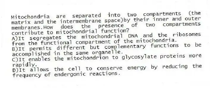 Mitochondria are separated into two compartments (the matrix and the intermembrane space)by their inner and outer membranes.How does the presence of two compartments contribute to mitochondrial function?
A)It segregates the mitochondrial DNA and the ribosomes from the functional compartment of the mitochondria.
B)It permits different but complementary functions to be accomplished in the same organelle.
C)It enables the mitochondrion to glycosylate proteins more rapidly.
D)It allows the cell to conserve energy by reducing the frequency of endergonic reactions.