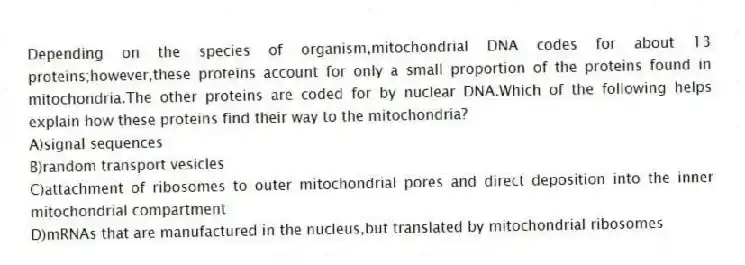 Depending on the species of organism,mitochondrial DNA codes for about 13 proteins;however,these proteins account for only a small proportion of the proteins found in mitochondria.The other proteins are coded for by nuclear DNA.Which of the following helps explain how these proteins find their way to the mitochondria?
A)signal sequences
B)random transport vesicles
C)attachment of ribosomes to outer mitochondrial pores and direct deposition into the inner mitochondrial compartment
D)mRNAs that are manufactured in the nucleus,but translated by mitochondrial ribosomes