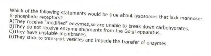 Which of the following statements would be true about lysosomes that lack mannose-6-phosphate receptors?
A)They receive "modified" enzymes,so are unable to break down carbohydrates.
B)They do not receive enzyme shipments from the Golgi apparatus.
C)They have unstable membranes.
D)They stick to transport vesicles and impede the transfer of enzymes.