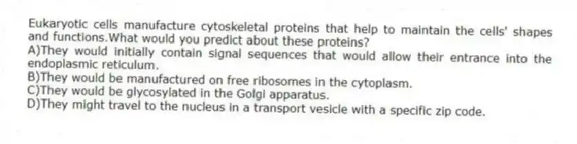 Eukaryotic cells manufacture cytoskeletal proteins that help to maintain the cells' shapes and functions.What would you predict about these proteins?
A)They would initially contain signal sequences that would allow their entrance into the endoplasmic reticulum.
B)They would be manufactured on free ribosomes in the cytoplasm.
C)They would be glycosylated in the Golgi apparatus.
D)They might travel to the nucleus in a transport vesicle with a specific zip code.
