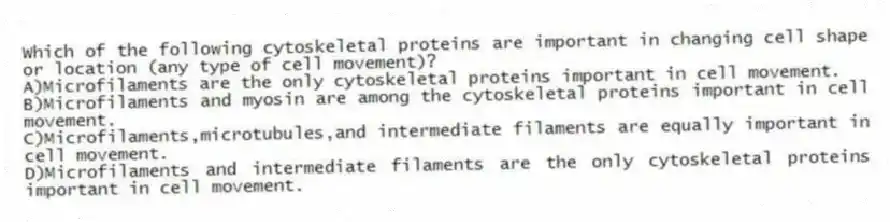 Which of the following cytoskeletal proteins are important in changing cell shape or location (any type of cell movement)?
A)Microfilaments are the only cytoskeletal proteins important in cell movement.
B)Microfilaments and myosin are among the cytoskeletal proteins important in cell movement.
C)Microfilaments,microtubules,and intermediate filaments are equally important in cell movement.
D)Microfilaments and intermediate filaments are the only cytoskeletal proteins important in cell movement.