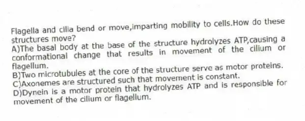 Flagella and cilia bend or move,imparting mobility to cells.How do these structures move?
A)The basal body at the base of the structure hydrolyzes ATP,causing a conformational change that results in movement of the cilium or flagellum.
B)Two microtubules at the core of the structure serve as motor proteins.
C)Axonemes are structured such that movement is constant.
D)Dynein is a motor protein that hydrolyzes ATP and is responsible for movement of the cilium or flagellum.