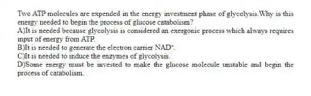 Two ATP molecules are expended in the energy investment phase of glycolysis.Why is this energy needed to begin the process of glucose catabolism?
A)It is needed because glycolysis is considered an exergonic process which always requires input of energy from ATP.
B)It is needed to generate the electron carrier NAD⁺.
C)It is needed to induce the enzymes of glycolysis.
D)Some energy must be invested to make the glucose molecule unstable and begin the process of catabolism.