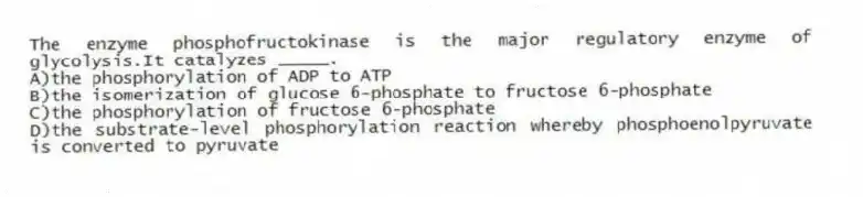 The enzyme phosphofructokinase is the major regulatory enzyme of glycolysis.It catalyzes _____.
A)the phosphorylation of ADP to ATP
B)the isomerization of glucose 6-phosphate to fructose 6-phosphate
C)the phosphorylation of fructose 6-phosphate
D)the substrate-level phosphorylation reaction whereby phosphoenolpyruvate is converted to pyruvate