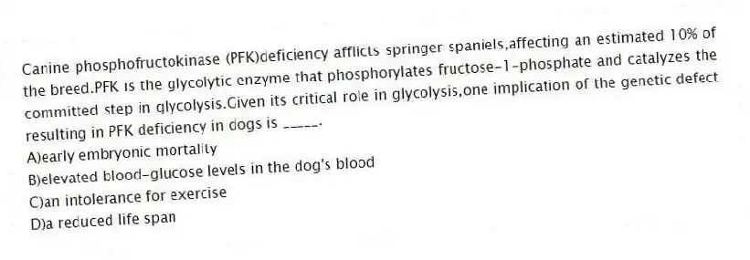Canine phosphofructokinase (PFK)deficiency afflicts springer spaniels,affecting an estimated 10% of the breed.PFK is the glycolytic enzyme that phosphorylates fructose-1-phosphate and catalyzes the committed step in glycolysis.Given its critical role in glycolysis,one implication of the genetic defect resulting in PFK deficiency in dogs is _____.
A)early embryonic mortality
B)elevated blood-glucose levels in the dog's blood
C)an intolerance for exercise
D)a reduced life span
