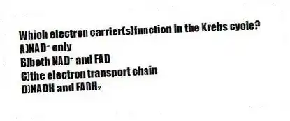Which electron carrier(s)function in the Krebs cycle?
A)NAD⁺ only
B)both NAD⁺ and FAD
C)the electron transport chain
D)NADH and FADH₂