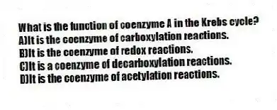 What is the function of coenzyme A in the Krebs cycle?
A)It is the coenzyme of carboxylation reactions.
B)It is the coenzyme of redox reactions.
C)It is a coenzyme of decarboxylation reactions.
D)It is the coenzyme of acetylation reactions.