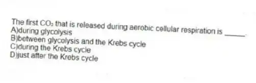 The first CO₂ that is released during aerobic cellular respiration is _____.
A)during glycolysis
B)between glycolysis and the Krebs cycle
C)during the Krebs cycle
D)just after the Krebs cycle