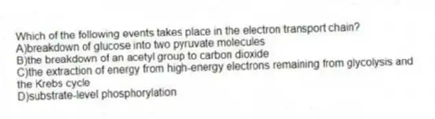 Which of the following events takes place in the electron transport chain?
A)breakdown of glucose into two pyruvate molecules
B)the breakdown of an acetyl group to carbon dioxide
C)the extraction of energy from high-energy electrons remaining from glycolysis and the Krebs cycle
D)substrate-level phosphorylation