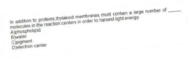 In addition to proteins,thylakoid membranes must contain a large number of _____ molecules in the reaction centers in order to harvest light energy.
A)phospholipid
B)water
C)pigment
D)electron carrier