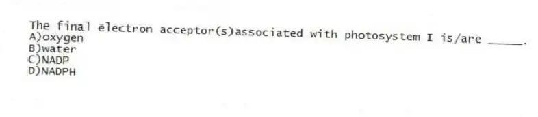 The final electron acceptor(s)associated with photosystem I is/are _____.
A)oxygen
B)water
C)NADP
D)NADPH