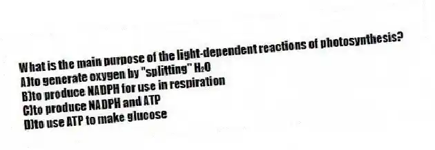 What is the main purpose of the light-dependent reactions of photosynthesis?
A)to generate oxygen by "splitting" H₂O
B)to produce NADPH for use in respiration
C)to produce NADPH and ATP
D)to use ATP to make glucose