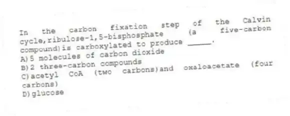 In the carbon fixation step of the Calvin cycle,ribulose-1,5-bisphosphate (a five-carbon compound)is carboxylated to produce _____.
A)5 molecules of carbon dioxide
B)2 three-carbon compounds
C)acetyl CoA (two carbons)and oxaloacetate (four carbons)
D)glucose