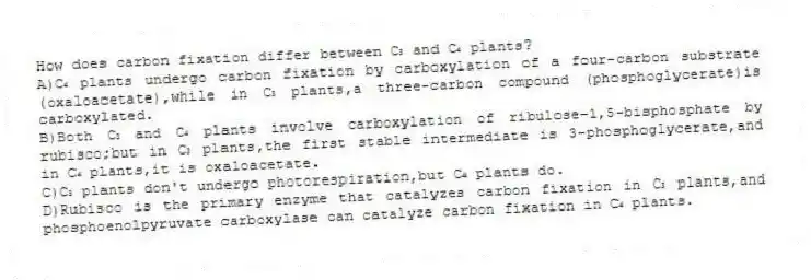 How does carbon fixation differ between C₃ and C₄ plants?
A)C₄ plants undergo carbon fixation by carboxylation of a four-carbon substrate (oxaloacetate),while in C₃ plants,a three-carbon compound (phosphoglycerate)is carboxylated.
B)Both C₃ and C₄ plants involve carboxylation of ribulose-1,5-bisphosphate by rubisco;but in C₃ plants,the first stable intermediate is 3-phosphoglycerate,and in C₄ plants,it is oxaloacetate.
C)C₃ plants don't undergo photorespiration,but C₄ plants do.
D)Rubisco is the primary enzyme that catalyzes carbon fixation in C₃ plants,and phosphoenolpyruvate carboxylase can catalyze carbon fixation in C₄ plants.