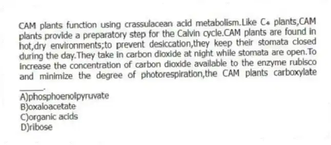 CAM plants function using crassulacean acid metabolism.Like C₄ plants,CAM plants provide a preparatory step for the Calvin cycle.CAM plants are found in hot,dry environments;to prevent desiccation,they keep their stomata closed during the day.They take in carbon dioxide at night while stomata are open.To increase the concentration of carbon dioxide available to the enzyme rubisco and minimize the degree of photorespiration,the CAM plants carboxylate _____.
A)phosphoenolpyruvate
B)oxaloacetate
C)organic acids
D)ribose