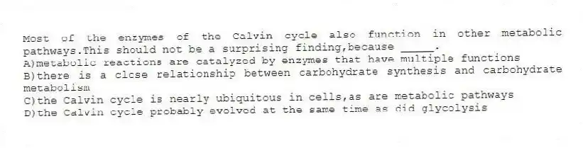 Most of the enzymes of the Calvin cycle also function in other metabolic pathways.This should not be a surprising finding,because _____.
A)metabolic reactions are catalyzed by enzymes that have multiple functions
B)there is a close relationship between carbohydrate synthesis and carbohydrate metabolism
C)the Calvin cycle is nearly ubiquitous in cells,as are metabolic pathways
D)the Calvin cycle probably evolved at the same time as did glycolysis