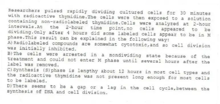 Researchers pulsed rapidly dividing cultured cells for 30 minutes with radioactive thymidine.The cells were then exposed to a solution containing non-radiolabeled thymidine.Cells were analyzed at 2-hour intervals.At the 2-hour time point,no cells appeared to be dividing.Only after 4 hours did some labeled cells appear to be in M phase.This result can be explained in the following way:
A)Radiolabeled compounds are somewhat cytotoxic,and so cell division was initially inhibited.
B)The cells were arrested in a nondividing state because of the treatment and could not enter M phase until several hours after the label was removed.
C)Synthesis (S)phase is lengthy about 12 hours in most cell types and the radioactive thymidine was not present long enough for most cells to be labeled.
D)There seems to be a gap or a lag in the cell cycle,between the synthesis of DNA and cell division.