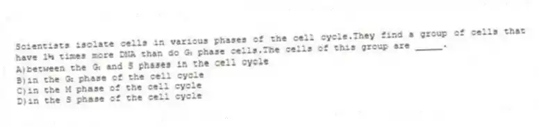 Scientists isolate cells in various phases of the cell cycle.They find a group of cells that have 1½ times more DNA than do G₁ phase cells.The cells of this group are _____.
A)between the G₁ and S phases in the cell cycle
B)in the G₂ phase of the cell cycle
C)in the M phase of the cell cycle
D)in the S phase of the cell cycle