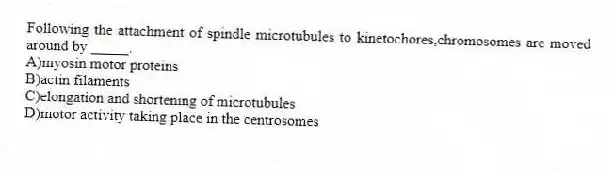 Following the attachment of spindle microtubules to kinetochores,chromosomes are moved around by _____.
A)myosin motor proteins
B)actin filaments
C)elongation and shortening of microtubules
D)motor activity taking place in the centrosomes