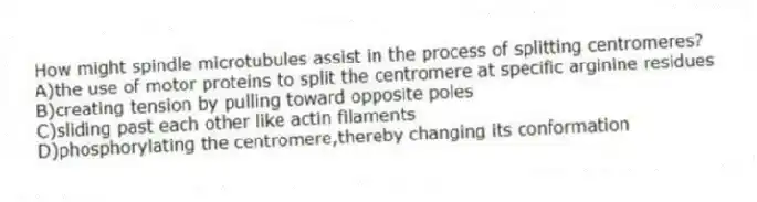 How might spindle microtubules assist in the process of splitting centromeres?
A)the use of motor proteins to split the centromere at specific arginine residues
B)creating tension by pulling toward opposite poles
C)sliding past each other like actin filaments
D)phosphorylating the centromere,thereby changing its conformation