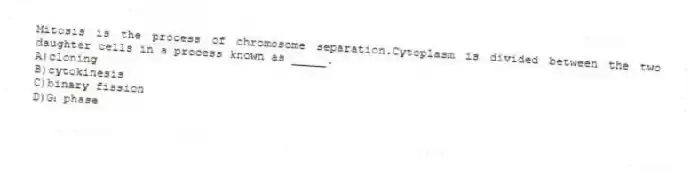 Mitosis is the process of chromosome separation.Cytoplasm is divided between the two daughter cells in a process known as _____.
A)cloning
B)cytokinesis
C)binary fission
D)G₁ phase