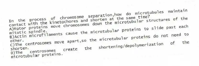 In the process of chromosome separation,how do microtubules maintain contact with the kinetochores and shorten at the same time?
A)Motor proteins move chromosomes down the microtubular structures of the mitotic spindle.
B)Actin microfilaments cause the microtubular proteins to slide past each other.
C)The centrosomes move apart,so the microtubular proteins do not need to shorten.
D)The centrosomes create the shortening/depolymerization of the microtubular proteins.