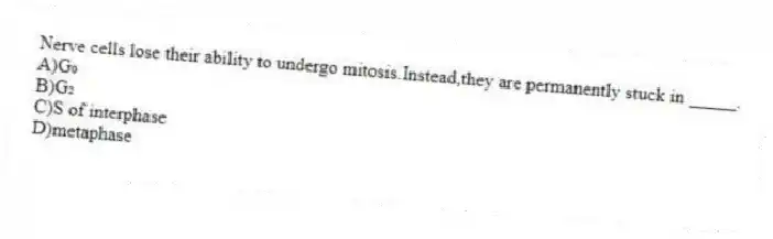 Nerve cells lose their ability to undergo mitosis.Instead,they are permanently stuck in _____.
A)G₀
B)G₂
C)S of interphase
D)metaphase