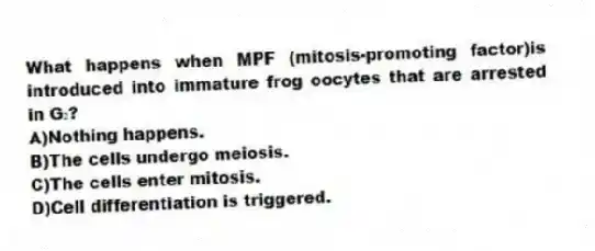 What happens when MPF (mitosis-promoting factor)is introduced into immature frog oocytes that are arrested in G₂?
A)Nothing happens.
B)The cells undergo meiosis.
C)The cells enter mitosis.
D)Cell differentiation is triggered.