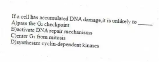 If a cell has accumulated DNA damage,it is unlikely to _____.
A)pass the G₂ checkpoint
B)activate DNA repair mechanisms
C)enter G₁ from mitosis
D)synthesize cyclin-dependent kinases