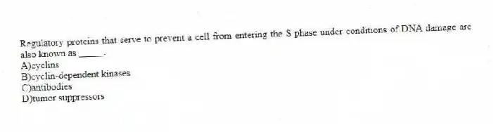 Regulatory proteins that serve to prevent a cell from entering the S phase under conditions of DNA damage are also known as _____.
A)cyclins
B)cyclin-dependent kinases
C)antibodies
D)tumor suppressors