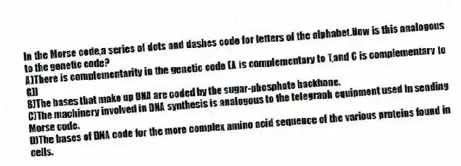 In the Morse code,a series of dots and dashes code for letters of the alphabet.How is this analogous to the genetic code?
A)There is complementarity in the genetic code (A is complementary to T,and C is complementary to G))
B)The bases that make up DNA are coded by the sugar-phosphate backbone.
C)The machinery involved in DNA synthesis is analogous to the telegraph equipment used in sending Morse code.
D)The bases of DNA code for the more complex amino acid sequence of the various proteins found in cells.