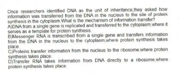 Once researchers identified DNA as the unit of inheritance,they asked how information was transferred from the DNA in the nucleus to the site of protein synthesis in the cytoplasm.What is the mechanism of information transfer?
A)DNA from a single gene is replicated and transferred to the cytoplasm,where it serves as a template for protein synthesis.
B)Messenger RNA is transcribed from a single gene and transfers information from the DNA in the nucleus to the cytoplasm,where protein synthesis takes place.
C)Proteins transfer information from the nucleus to the ribosome,where protein synthesis takes place.
D)Transfer RNA takes information from DNA directly to a ribosome,where protein synthesis takes place.