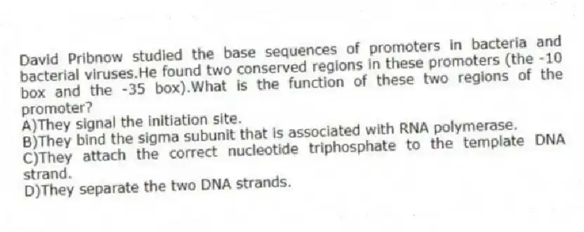 David Pribnow studied the base sequences of promoters in bacteria and bacterial viruses.He found two conserved regions in these promoters (the -10 box and the -35 box).What is the function of these two regions of the promoter?
A)They signal the initiation site.
B)They bind the sigma subunit that is associated with RNA polymerase.
C)They attach the correct nucleotide triphosphate to the template DNA strand.
D)They separate the two DNA strands.