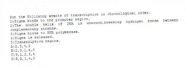 Put the following events of transcription in chronological order.
1)Sigma binds to the promoter region.
2)The double helix of DNA is unwound,breaking hydrogen bonds between complementary strands.
3)Sigma binds to RNA polymerase.
4)Sigma is released.
5)Transcription begins.
A)2,3,4,5
B)2,3,1,4,5
C)3,1,2,5,4
D)3,2,1,4,5