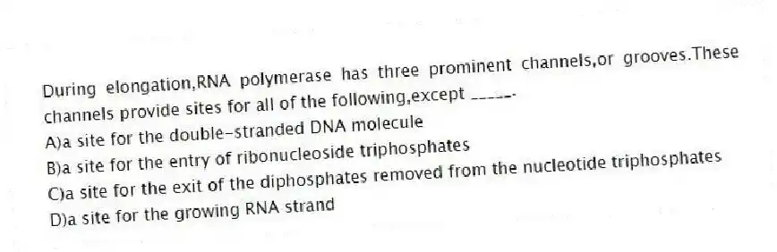 During elongation,RNA polymerase has three prominent channels,or grooves.These channels provide sites for all of the following,except _____.
A)a site for the double-stranded DNA molecule
B)a site for the entry of ribonucleoside triphosphates
C)a site for the exit of the diphosphates removed from the nucleotide triphosphates
D)a site for the growing RNA strand