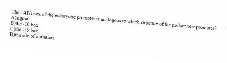 The TATA box of the eukaryotic promoter is analogous to which structure of the prokaryotic promoter?
A)sigma
B)the -10 box
C)the -35 box
D)the site of initiation