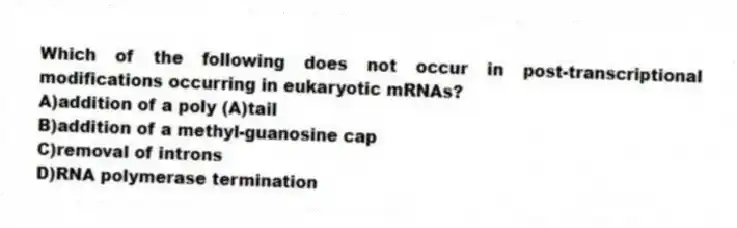 Which of the following does not occur in post-transcriptional modifications occurring in eukaryotic mRNAs?
A)addition of a poly (A)tail
B)addition of a methyl-guanosine cap
C)removal of introns
D)RNA polymerase termination