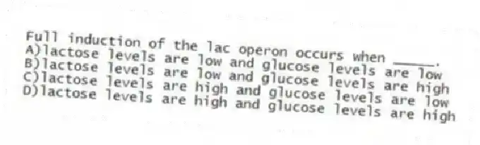 Full induction of the lac operon occurs when _____.
A)lactose levels are low and glucose levels are low
B)lactose levels are low and glucose levels are high
C)lactose levels are high and glucose levels are low
D)lactose levels are high and glucose levels are high