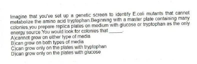 Imagine that you've set up a genetic screen to identify E.coli mutants that cannot metabolize the amino acid tryptophan.Beginning with a master plate containing many colonies,you prepare replica plates on medium with glucose or tryptophan as the only energy source.You would look for colonies that _____.
A)cannot grow on either type of media
B)can grow on both types of media
C)can grow only on the plates with tryptophan
D)can grow only on the plates with glucose