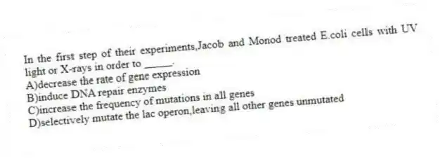 In the first step of their experiments,Jacob and Monod treated E.coli cells with UV light or X-rays in order to _____.
A)decrease the rate of gene expression
B)induce DNA repair enzymes
C)increase the frequency of mutations in all genes
D)selectively mutate the lac operon,leaving all other genes unmutated