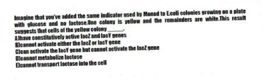 Imagine that you've added the same indicator used by Monod to E.coli colonies growing on a plate with glucose and no lactose.One colony is yellow and the remainders are white.This result suggests that cells of the yellow colony _____.
A)have constitutively active lacZ and lacY genes
B)cannot activate either the lacZ or lacY gene
C)can activate the lacY gene but cannot activate the lacZ gene
D)cannot metabolize lactose
E)cannot transport lactose into the cell