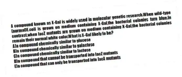 A compound known as X-Gal is widely used in molecular genetic research.When wild-type (normal)E.coli is grown on medium containing X-Gal,the bacterial colonies turn blue.In contrast,when lacZ mutants are grown on medium containing X-Gal,the bacterial colonies remain their normal white color.What is X-Gal likely to be?
A)a compound chemically similar to glucose
B)a compound chemically similar to galactose
C)a compound chemically similar to lactose
D)a compound that cannot be transported into lacZ mutants
E)a compound that can only be transported into lacA mutants